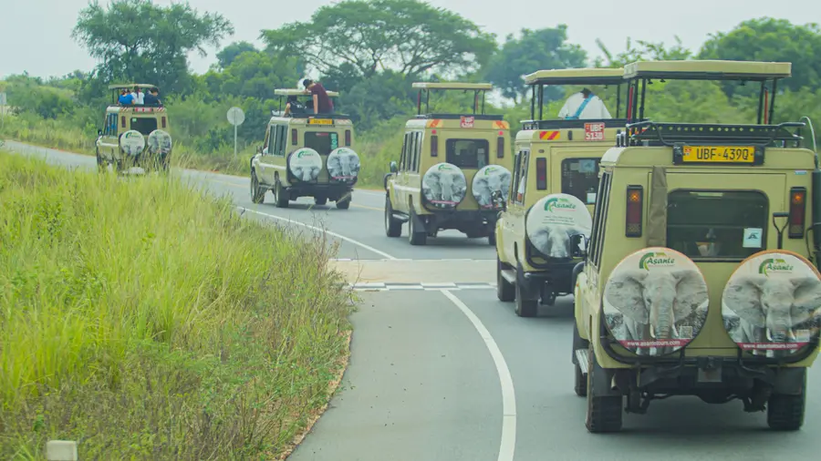 A line of Land Cruisers on a road in Uganda