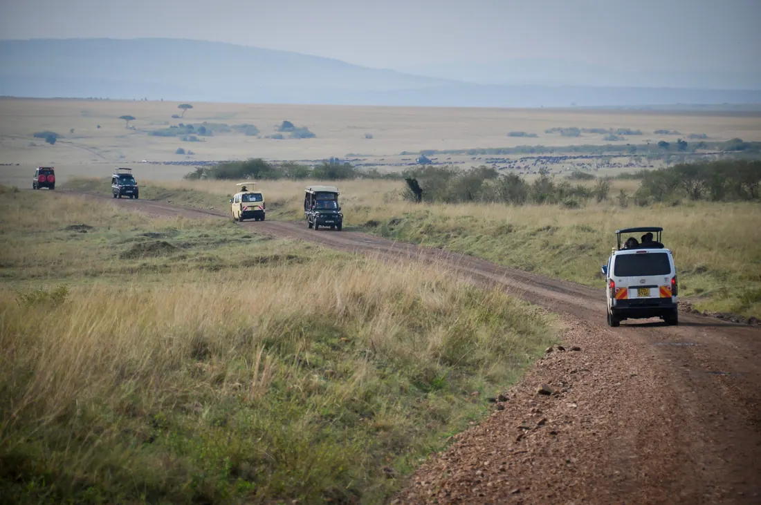 A game drive across the savanna