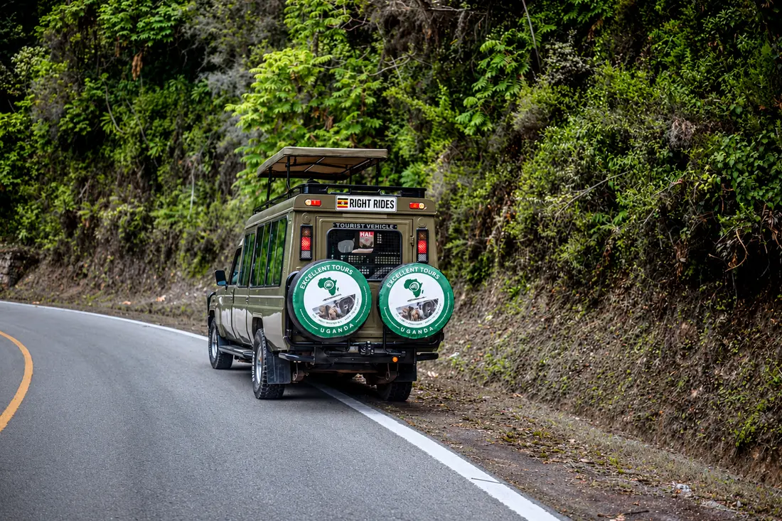 A safari Land Cruiser on a forest road