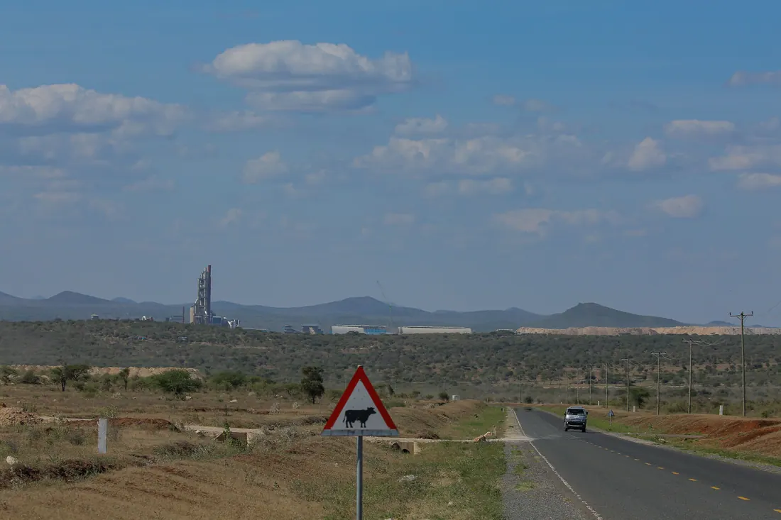 The open road through cattle country