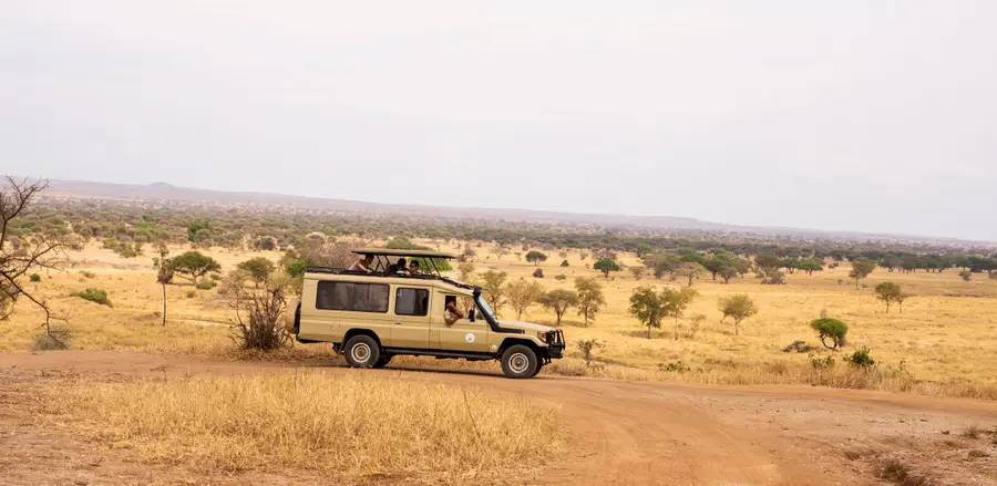 A safari Land Cruiser on the savanna